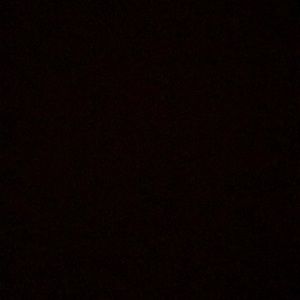 Meet your Posher, Lexi